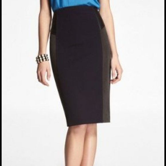 Express Navy and Gray Pencil Skirt - Picture 1 of 9